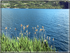 foto Lago di Caldonazzo